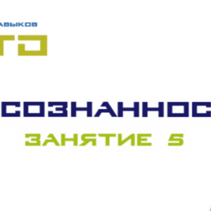 СТО Осознанность Занятие №5 (Lee)