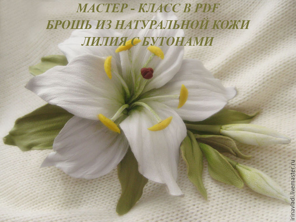 Лилия с бутонами (Ирина Влади)
